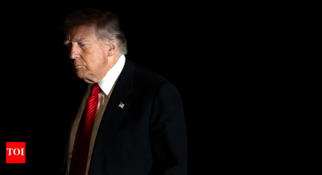 'They're killing Christians in large numbers': Is Trump planning air strikes in Nigeria? What US president said