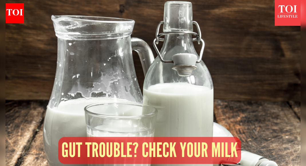 Always bloated after having milk? Harvard trained gut doctor reveals the best and worst dairy for your stomach