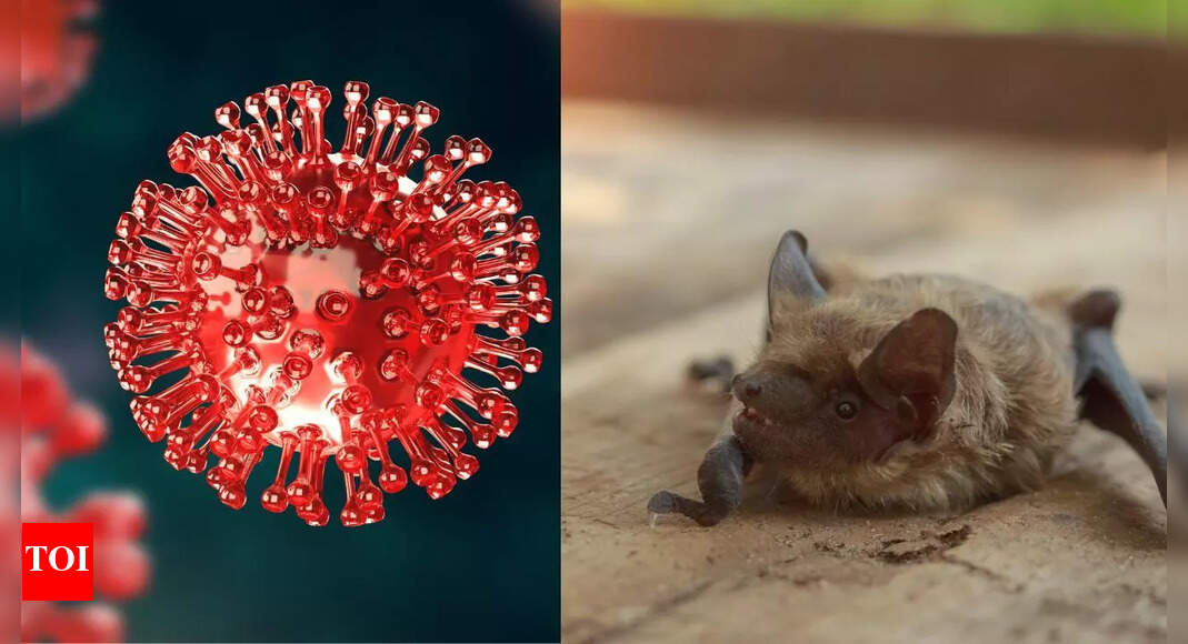 New pandemic alert? BRZ batCoV discovered in Brazil’s moustached bats, revealing natural origins of Covid-like virus