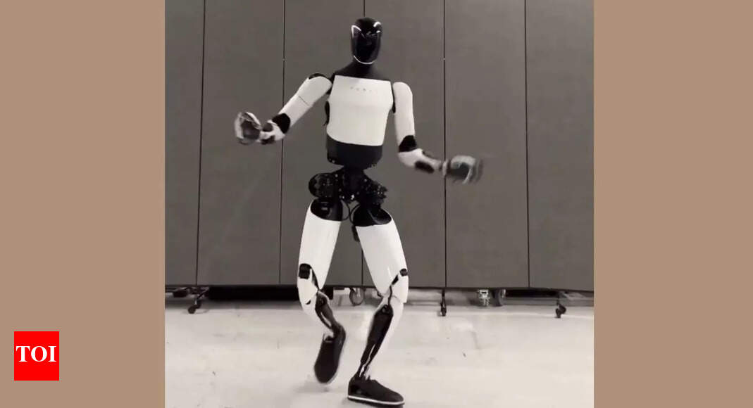 'Lab rat under a microscope': Tesla worker on training what Elon Musk claims to be 'biggest product of all time'