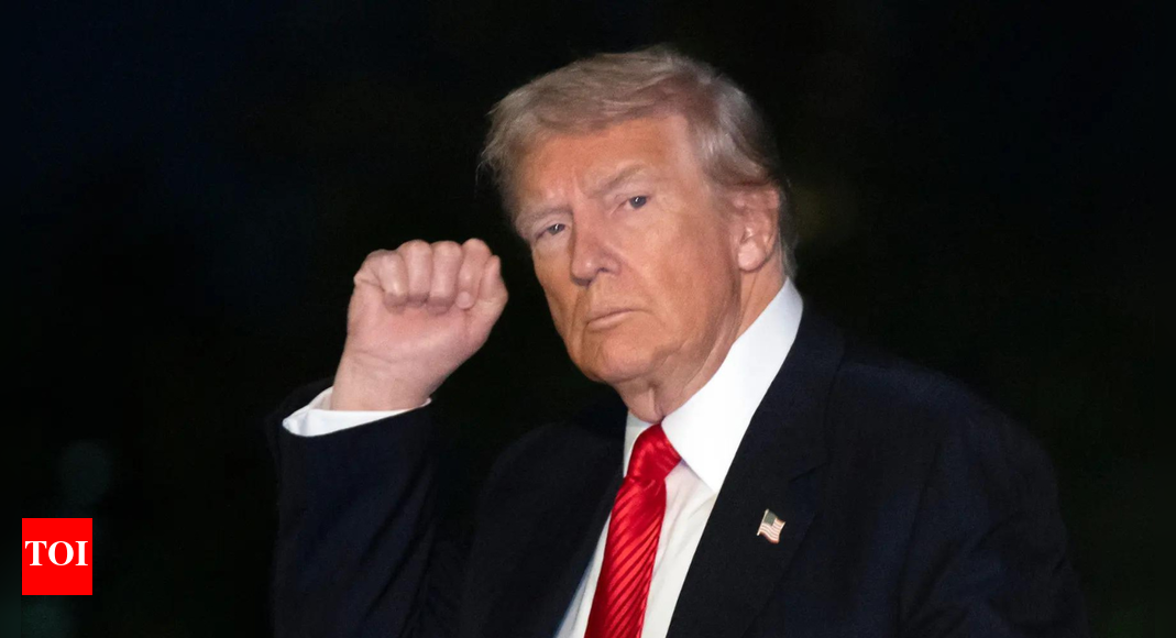 ‘If I had to choose between a communist and a bad Democrat...’: Who is Donald Trump backing in the NYC polls?