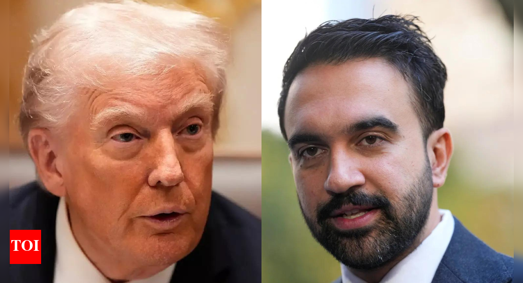 <div>Social media trolls Donald Trump after he claims he is 'better looking' than Zohran Mamdani; 'Elon gifted him an AI Mirror'</div>