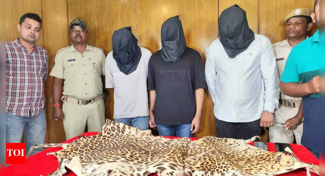 Bhubaneswar police arrest trio for attempting to sell leopard hide