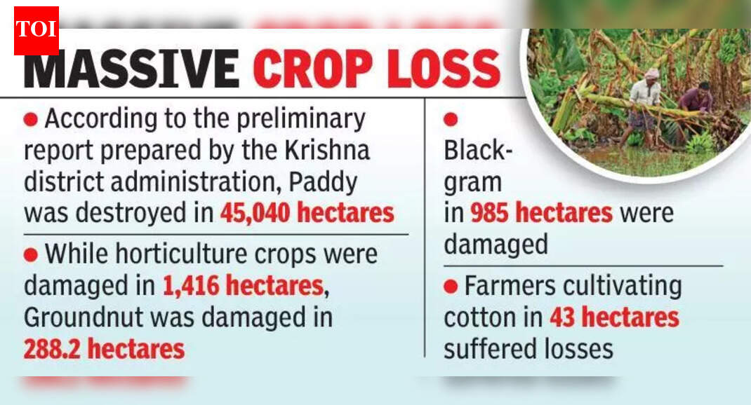 Cyclone Montha causes extensive damage to agriculture, fisheries and ...