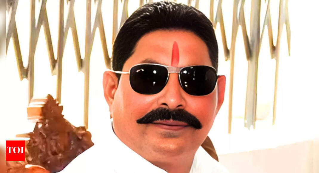 Anant vs Veena: Mokama braces up for high-voltage election battle