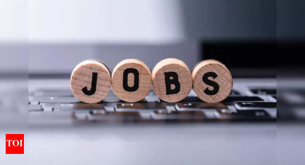 US openings down 32% since AI went mainstream: Why Gen Z may be entering the toughest market yet