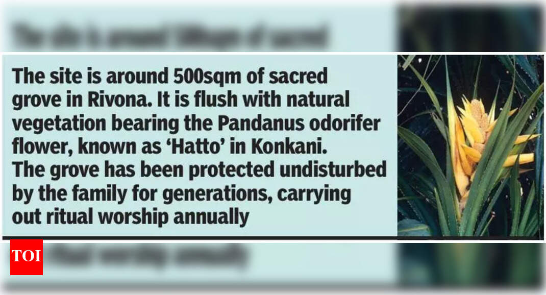 Sacred grove in Rivona family land set to become Goa’s 2nd biodiversity heritage site