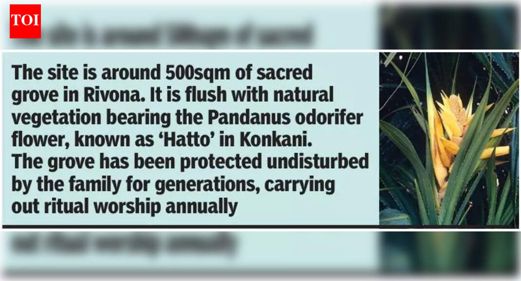 Sacred grove in Rivona family land set to become Goa’s 2nd biodiversity ...