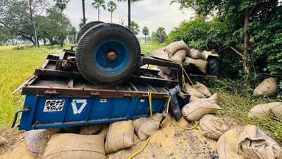  Bus collides with tractor loaded with paddy bags; 15 injured