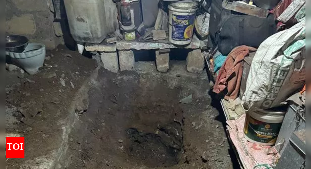 Junagadh horror: Teen celebrates double murder; used sugar to decompose bodies