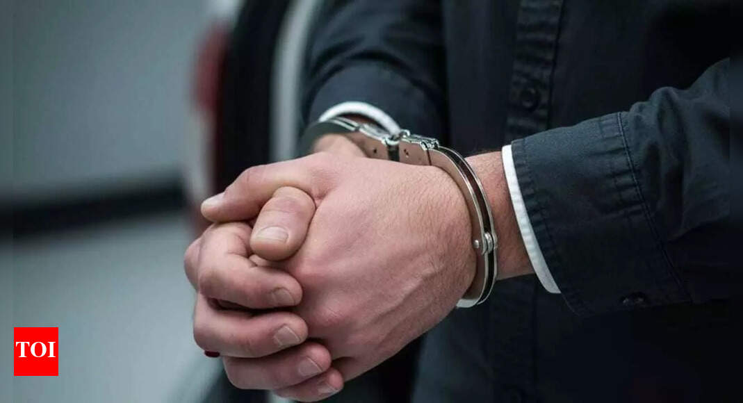 Kannada TV actress files complaint against man sending obscene videos on social media; Bengaluru police nabs the accused