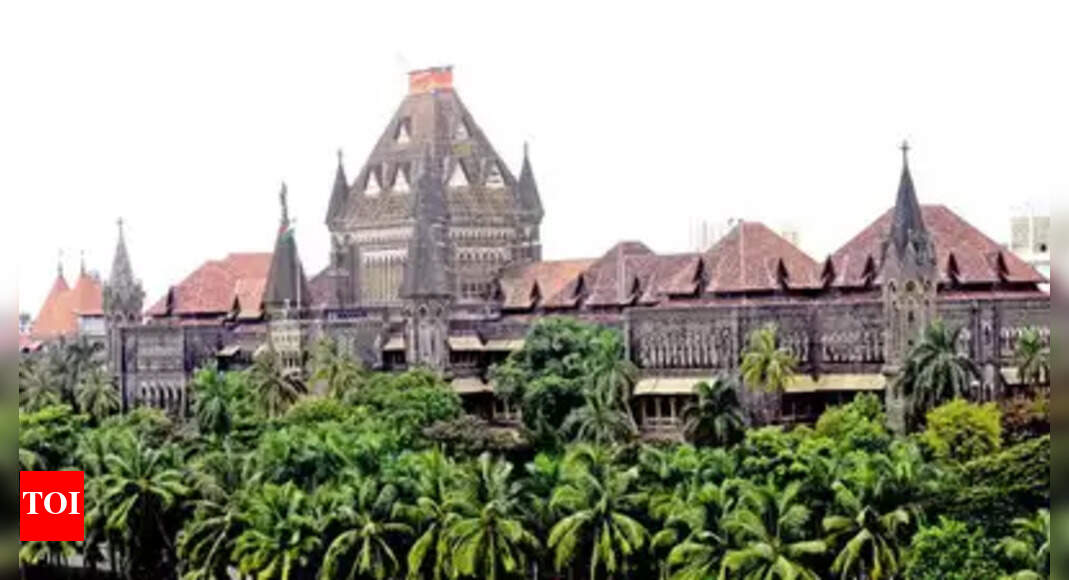 Unable to enrol as voter ahead of BMC polls, collegian who turned 18 in April moves Bombay HC
