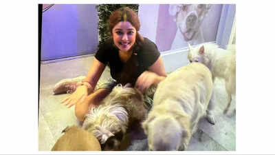 Payal Ghosh adopts strays, says, 'Looking at the way they are treated on the road, I couldn’t help my emotions'