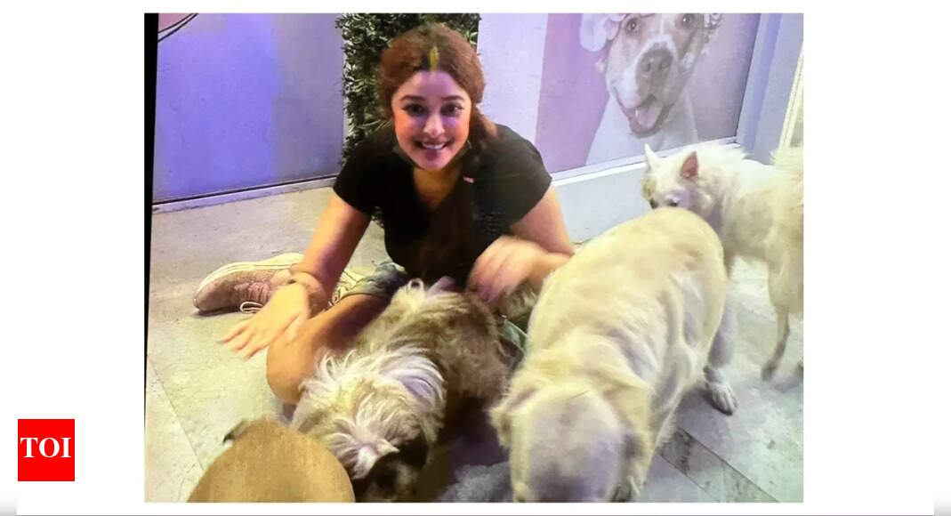 Payal Ghosh adopts strays, says, 'Looking at the way they are treated on the road, I couldn’t help my emotions'