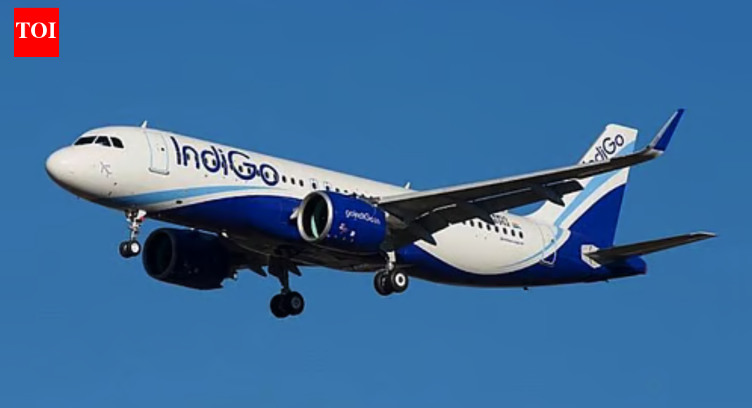 IndiGo Q2 results: Airline posts Rs 2,582 crore loss on forex hit ...