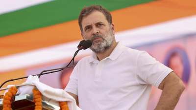 '10% control the Army': Rahul Gandhi's caste claim at Bihar rally, says 90% Indians 'nowhere to be found'