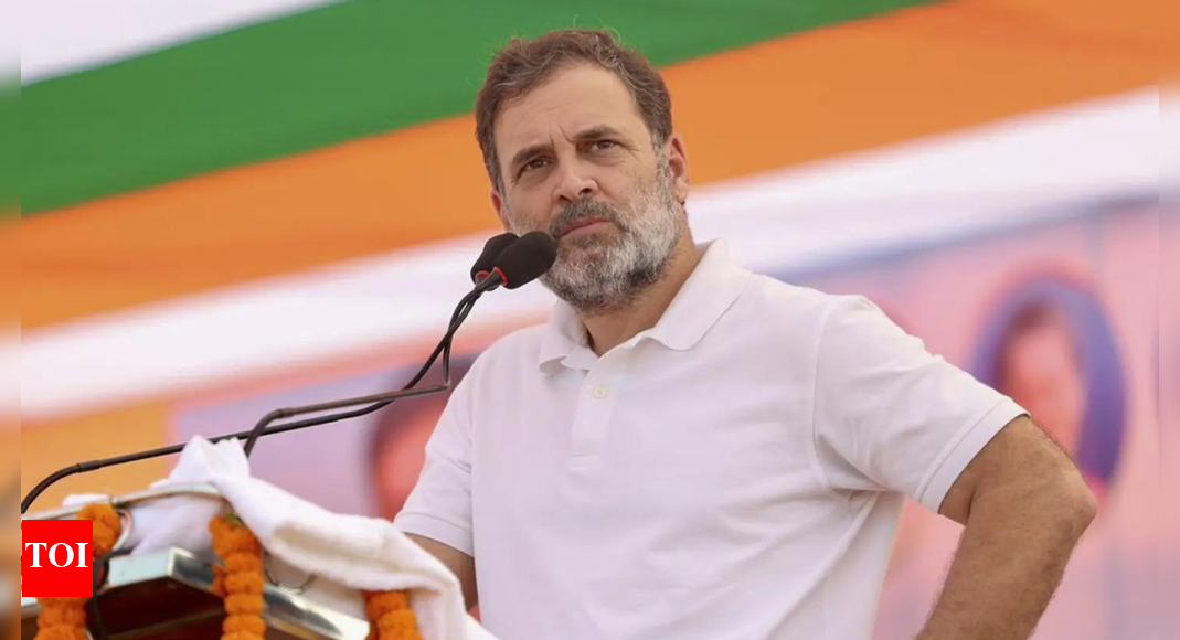 '10% control the Army': Rahul's caste claim in Bihar, says 90% Indians 'nowhere to be found'