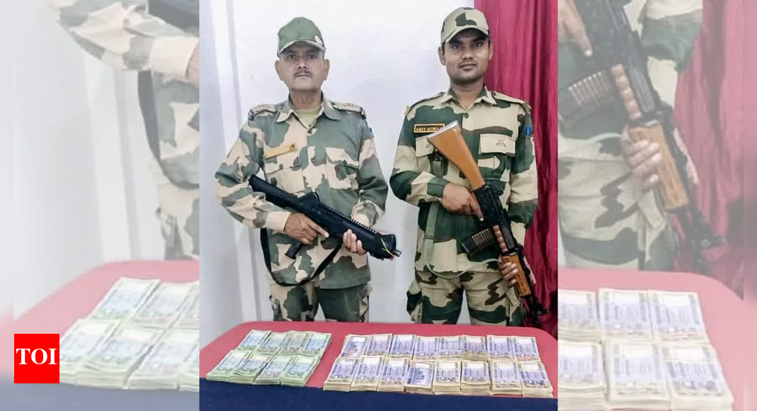 BSF ops across South Bengal border: Gold worth Rs 55 lakh, Bangladeshi currency sized; one arrested