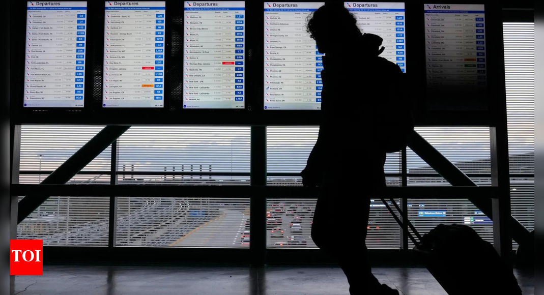 'Mass chaos': US govt warns shutdown could force airspace closure - what it means