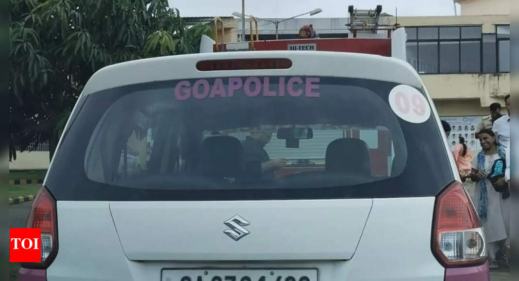 ‘Protect Goa’s image as safe destination’