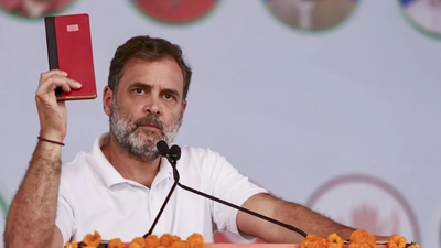 Bihar polls: 10% of population controls Army, says Rahul, stirs row