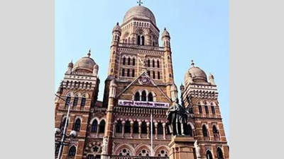 Maharashtra to hold local body polls on December 2