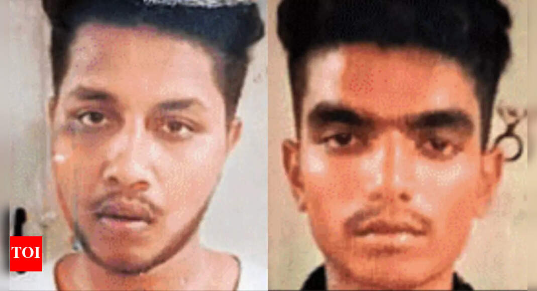 Birthday justice: 2 get life for Bengaluru techie’s murder in road rage case; accused struck victim on head with wooden log before fleeing