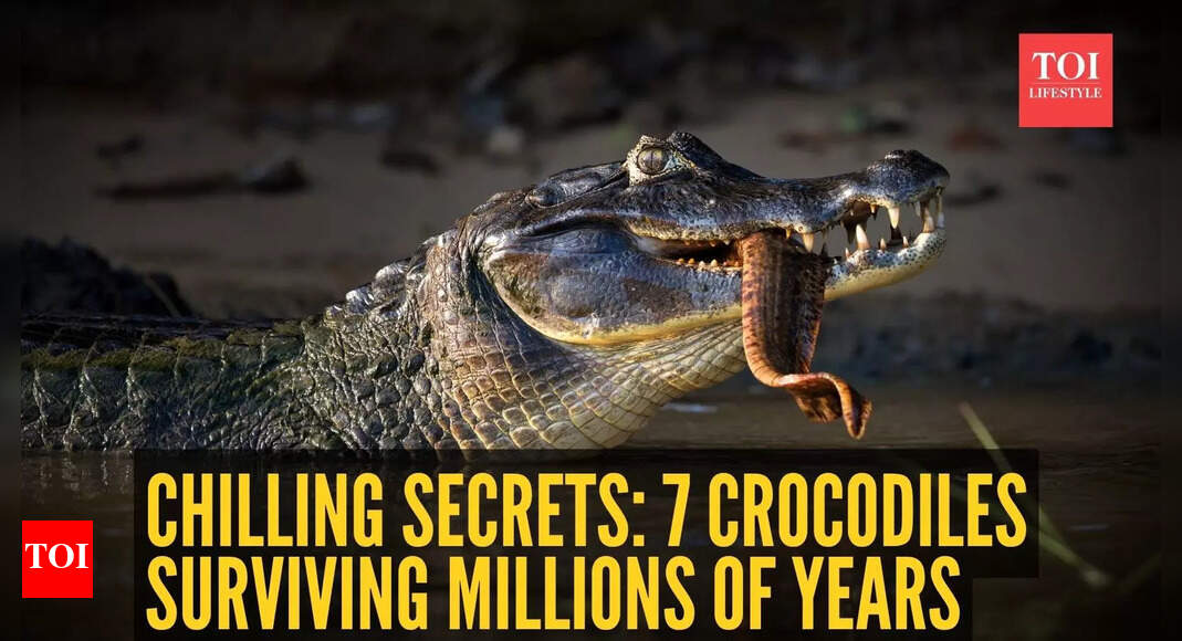 7 crocodilian species and their secrets to surviving in water