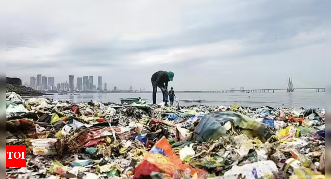 Mumbai Women’s Cricket World Cup: 63 tonnes of waste collected, processed in 5 days at DY Patil Stadium