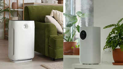 Air Purifier vs. Humidifier: What sets them apart and which one is best for indoor air quality