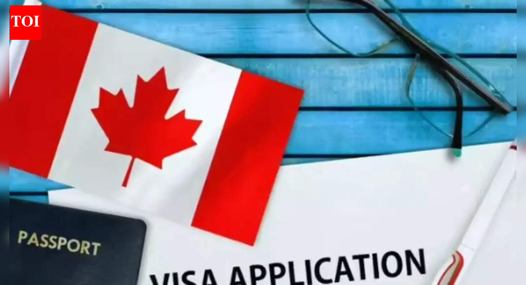 timesofindia.indiatimes.com