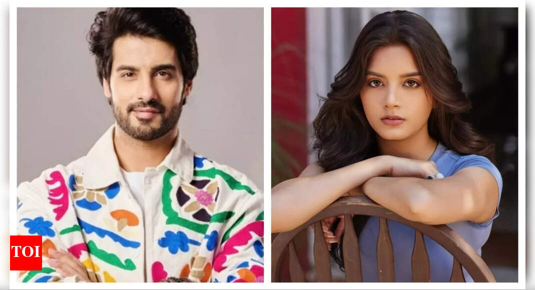 Abrar Qazi to play the male lead in Siddharttha Vankar’s next show?