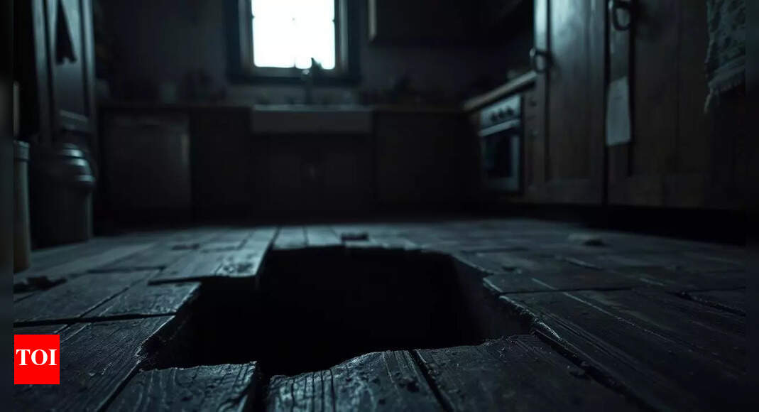 'Drishyam'-style murder: Man's body found under kitchen floor; wife on the run