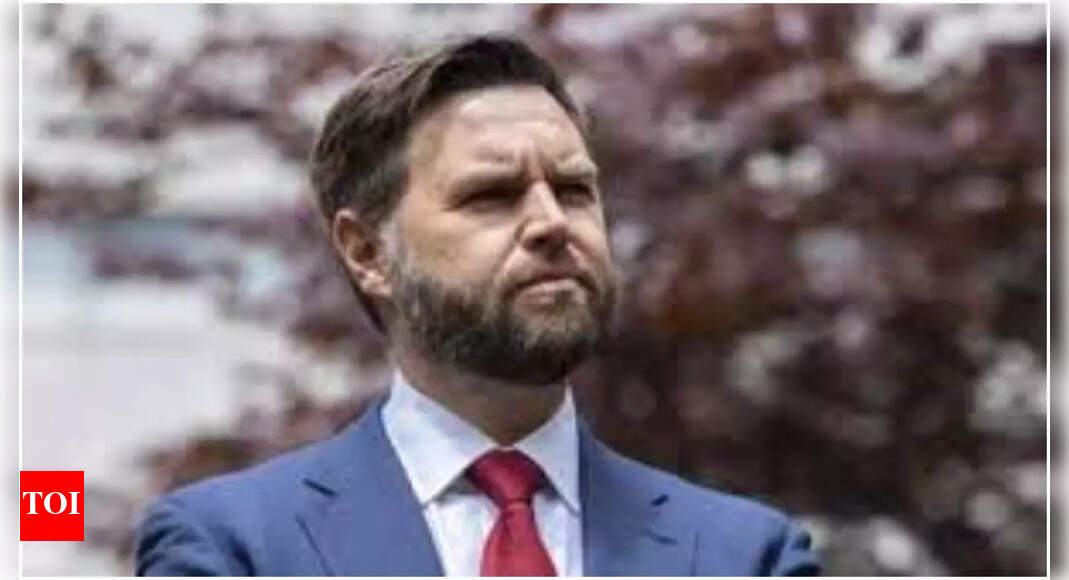 'I care about immigration': JD Vance reacts to MAGA infighting over defeat in New York, New Jersey, Virginia; says it's idiotic to overreact