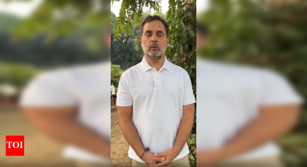 <div>'A day to decide Bihar's future': Rahul Gandhi's appeal to 'Gen Z' on eve of phase 1 polling; urges youth to prevent 'vote chori' - watch</div>