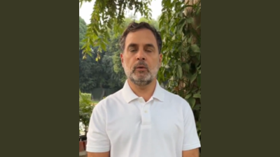  Rahul Gandhi's appeal to 'Gen Z' on eve of Bihar polls; urges youth to prevent 'vote chori' - watch