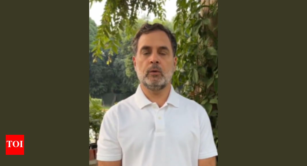 'Bihar's future in your hands': Rahul Gandhi's appeal to 'Gen Z' on eve of Bihar polls; urges youth to prevent 'vote chori' - watch