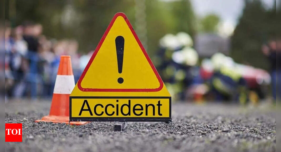 71-year-old pillion rider succumbs to injuries