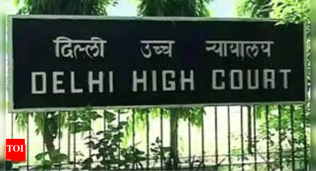 Delhi HC cites another Russian mom’s case, grants 4-year-old girl’s custody to father