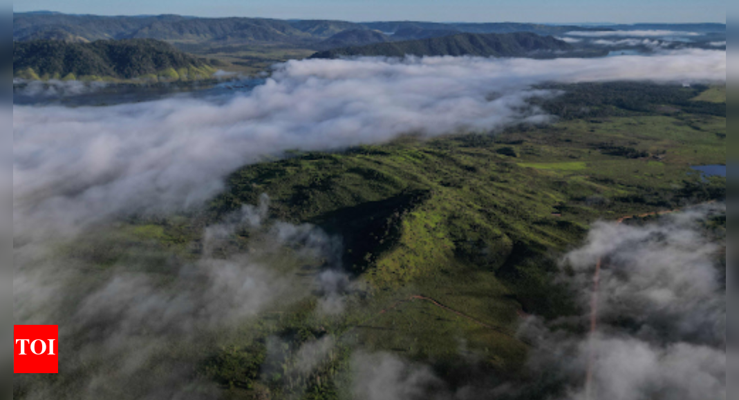 AI-generated disinformation tactics spotted ahead of COP30 – The Times of India