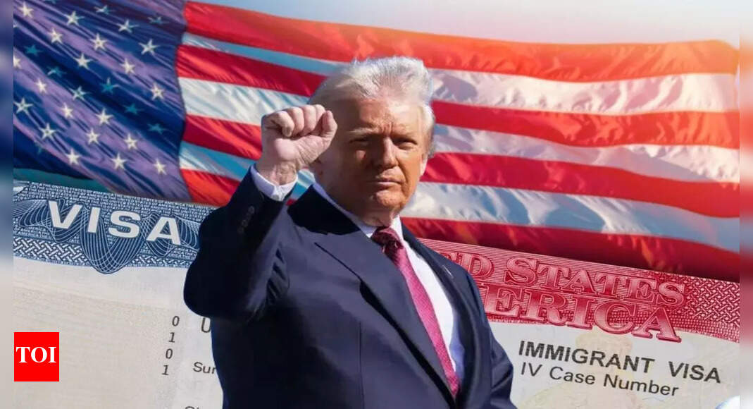 <div>Donald Trump's war on immigrants: Over 80,000 non-immigrant visas snatched this year</div>