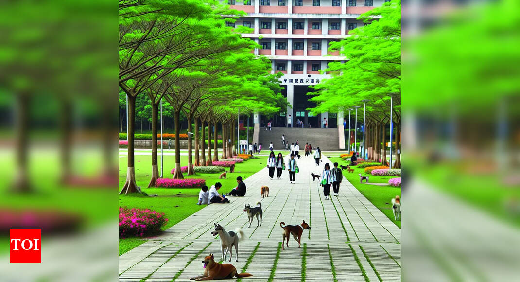 JNU elections 2025: Left bags all four posts, Aditi Mishra leads the winning front with Gopika Babu, Sunil Yadav, and Danish Ali