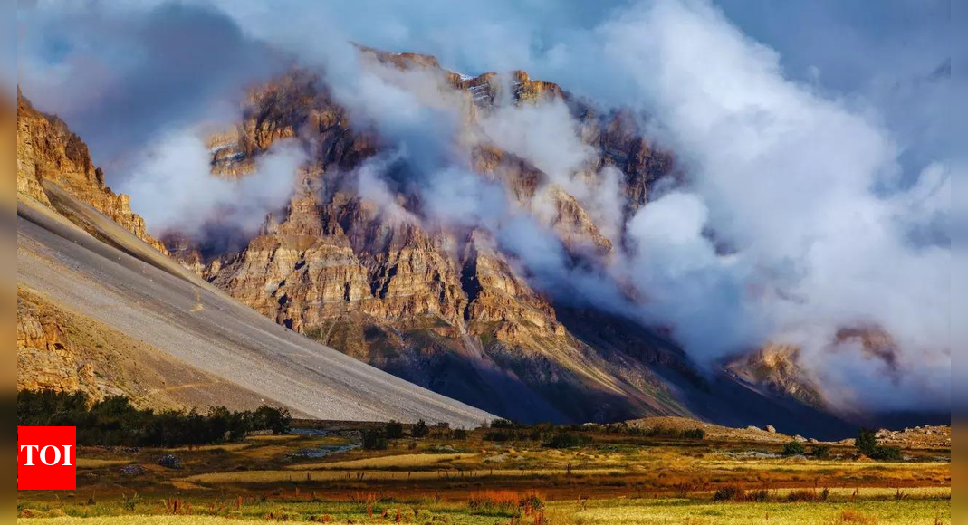 Cold wave grips Himachal; Tabo records minus 5.5 degrees, Kalpa sees snowfall