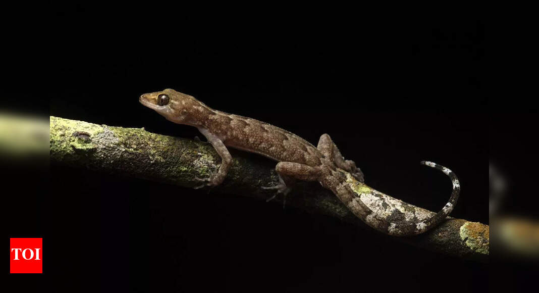 Thriving aquatic world beneath KNPTR grasslands: Report