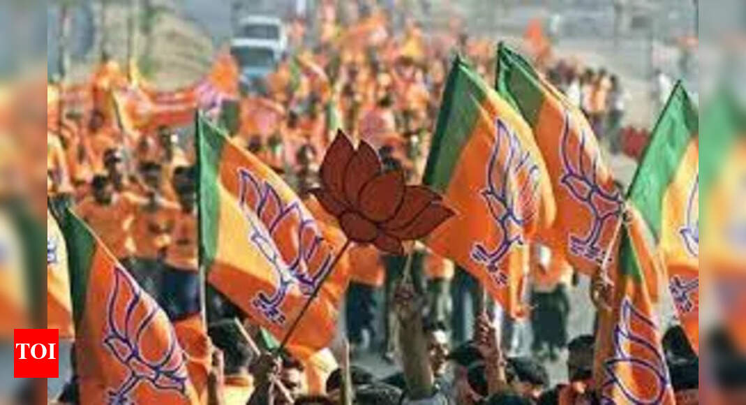 NDA confident of victory after first phase of polls