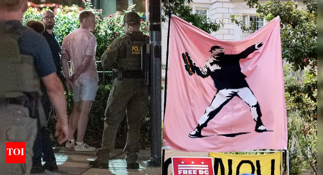 ‘Sandwich guy’ acquitted: Who is Sean Dunn and how did he become the face of DC resistance?