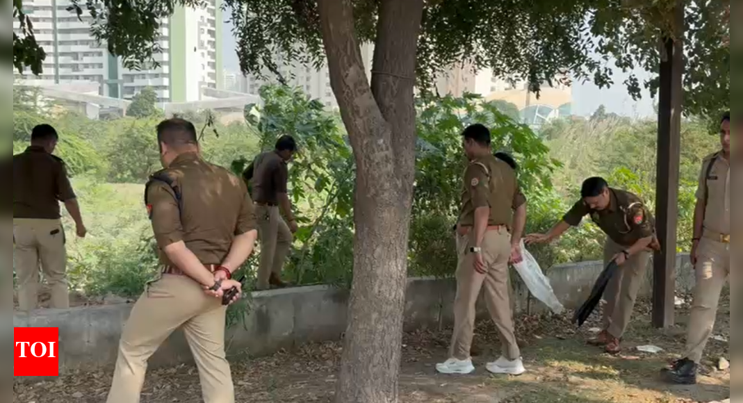 Woman's beheaded body found in drain in Noida