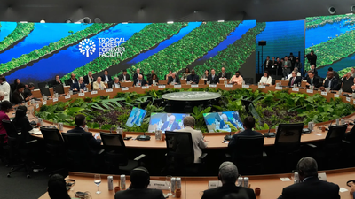 World leaders launch fund to save forests, get first $5 bn