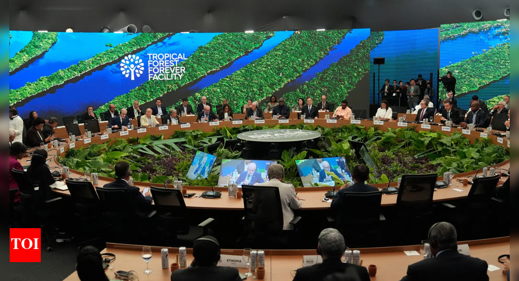 World leaders launch fund to save forests, get first $5 bn