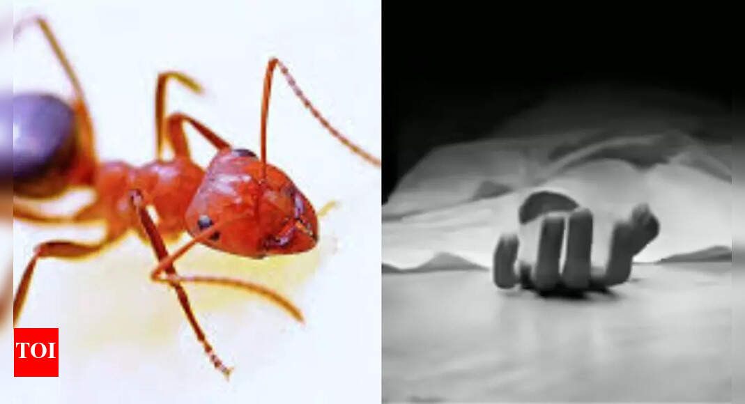 'Sorry. Can't live with them anymore': Telangana woman kills self over fear of ants